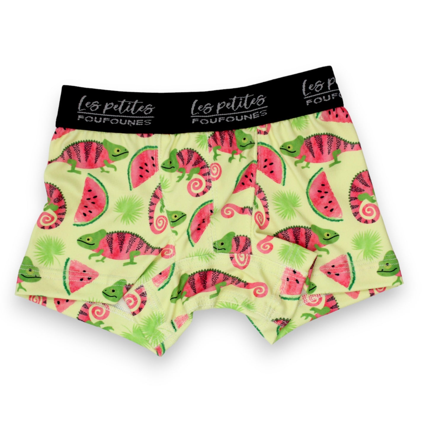 Boxer - Caméléon melon