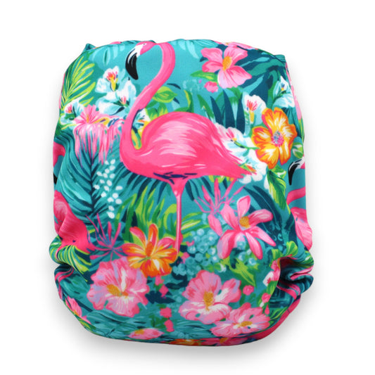 Diapers - Caribbean Flamingos FP